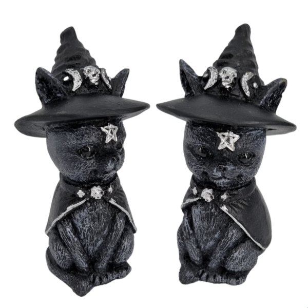 Gato Bruxo Pq - Preto