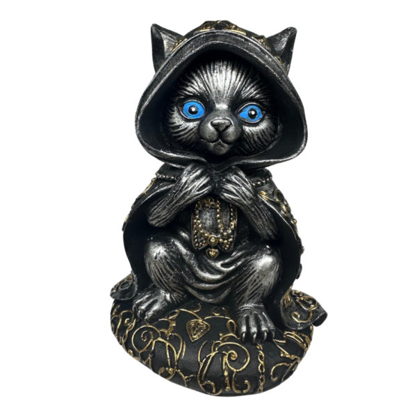 Gato Bruxo da Sorte Místico segurando a capa