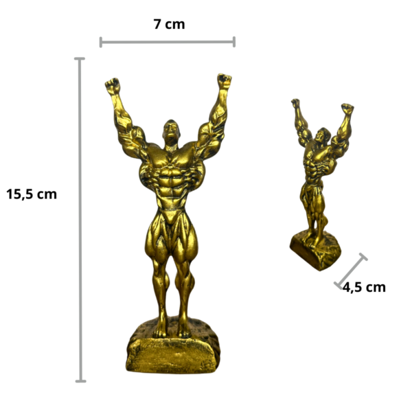 Troféu Vencedor Boneco Musculoso Fisiculturista ouro