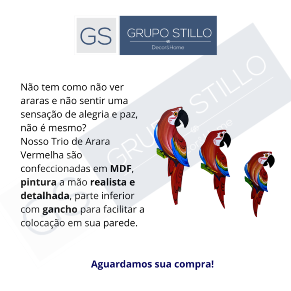 Trio De Arara vermelha Decorativo De Parede